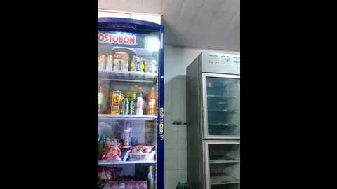 indira_nahali1 @ stripchat on 20241014