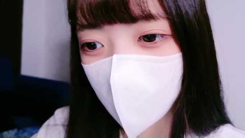 Media: irohani_usagi Stripchat 2024-10-14 10:17:00