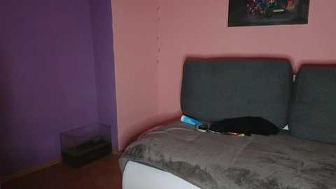 Media: katusha006 Stripchat 2024-10-14 21:12:00