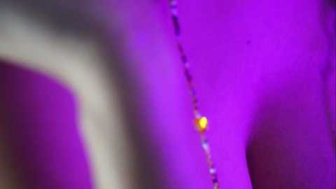 Media: mishamalhotra Stripchat 2024-10-14 11:49:00