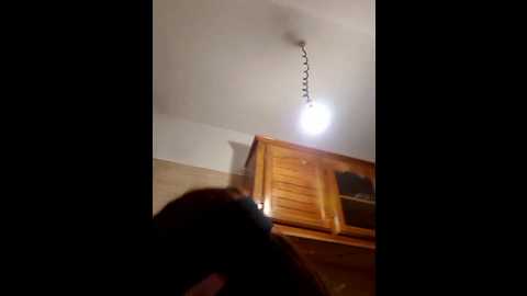 Media: _arabica_ Stripchat 2024-10-15 21:22:00