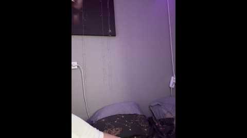 Media: caseystar Stripchat 2024-10-15 08:31:00