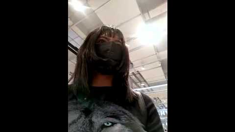 latin_summer @ stripchat on 20241015