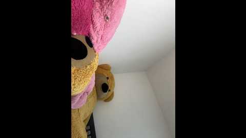 Media: sweetmuslim01 Stripchat 2024-10-15 01:37:00