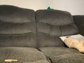 fairy223 @ stripchat on 20241016