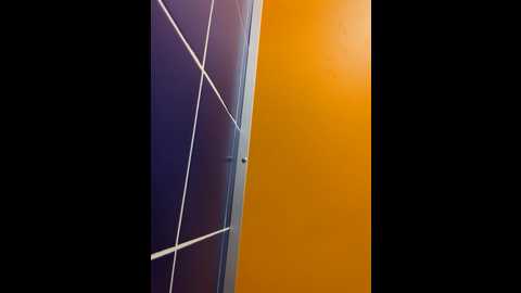 Media: morphine_666 Stripchat 2024-10-16 08:53:00