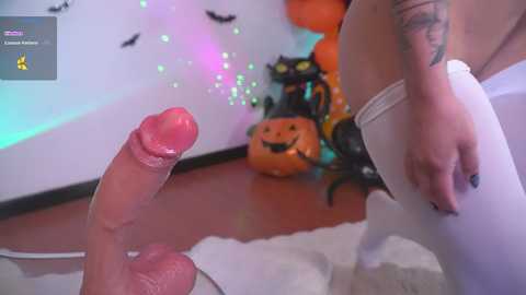 Media: nicdani_1 Stripchat 2024-10-16 00:23:00