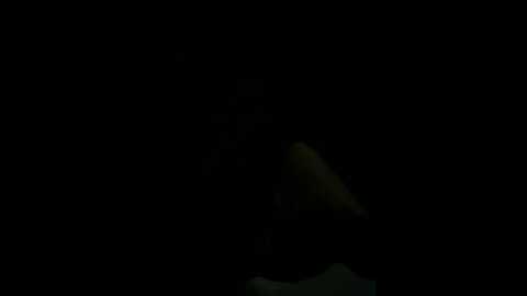 Media: oo_kaixin_oo Stripchat 2024-10-16 11:15:00