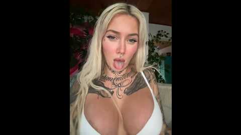 Media: stella_kink Stripchat 2024-10-16 16:16:00