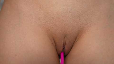 Media: doviaclaire Stripchat 2024-10-17 21:35:00