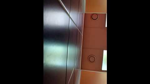 Media: morphine_666 Stripchat 2024-10-17 10:16:00