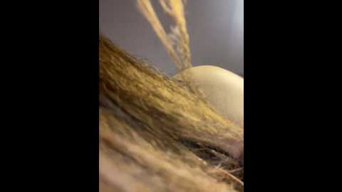 Media: ghazala_bitsh Stripchat 2024-10-19 00:47:00