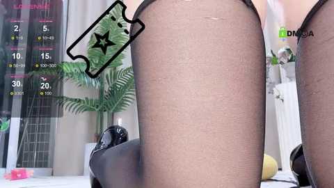 Media: happy_kitty Stripchat 2024-10-19 16:48:00