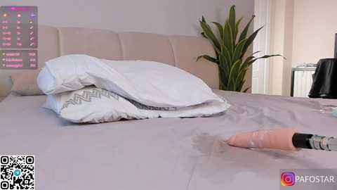 mayajenkins @ stripchat on 20241019