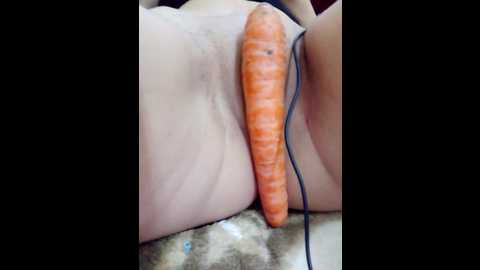 nadousha @ stripchat on 20241019