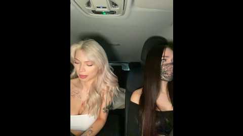 shybabyss @ stripchat on 20241019