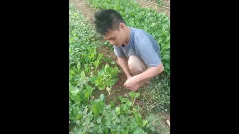 Media: sweet_toy20 Stripchat 2024-10-19 09:25:00