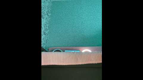 Media: alina_vibe_me Stripchat 2024-10-20 03:52:00