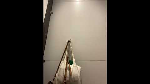 Media: suziemurray Stripchat 2024-10-20 07:50:00