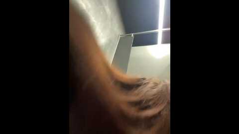 Media: lily__belle Stripchat 2024-10-22 17:52:00