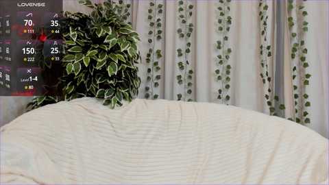 Media: mell_milles Stripchat 2024-10-22 16:00:00