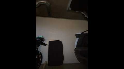 Media: _angelari_ Stripchat 2024-10-23 14:50:00