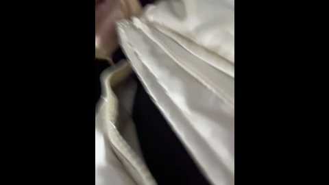 Media: _angelari_ Stripchat 2024-10-23 20:08:00