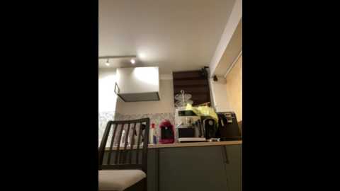 Media: isabellaetthan Stripchat 2024-10-23 20:43:00