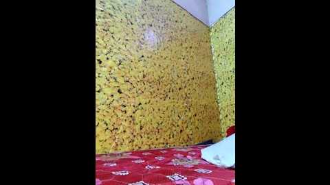 _noor7 @ stripchat on 20241024