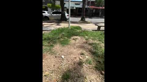 Media: dianita_1988 Stripchat 2024-10-24 17:55:00