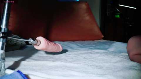 Media: friends_sex69 Stripchat 2024-10-24 11:31:00