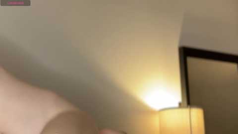 Media: lisalewi Stripchat 2024-10-24 01:50:00