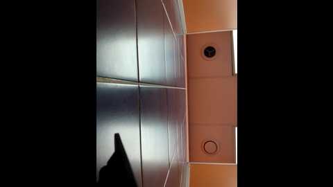 Media: morphine_666 Stripchat 2024-10-24 10:39:00