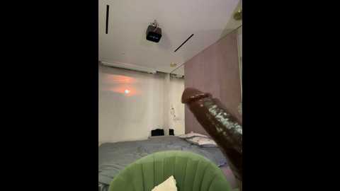 Media: stefannichka Stripchat 2024-10-24 00:47:00