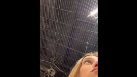 Media: _angelari_ Stripchat 2024-10-25 14:15:00