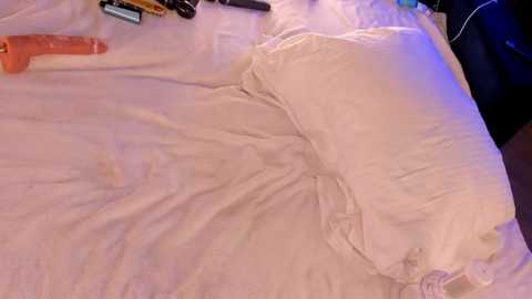 Media: furry_bear Stripchat 2024-10-25 18:16:00