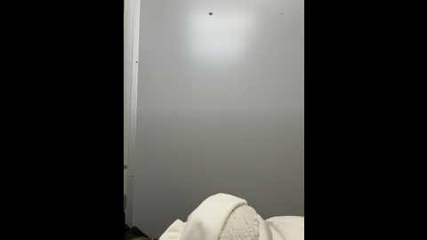Media: _angelari_ Stripchat 2024-10-26 13:44:00
