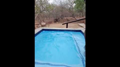 Media: jazmine_blue Stripchat 2024-10-26 10:56:00