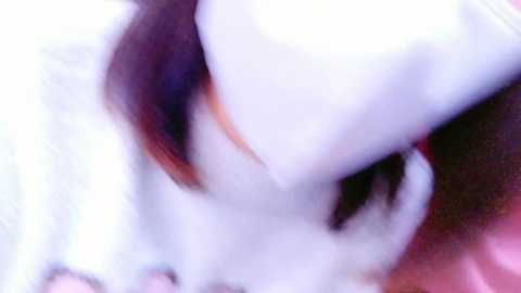 Media: maataaan Stripchat 2024-10-26 12:48:00