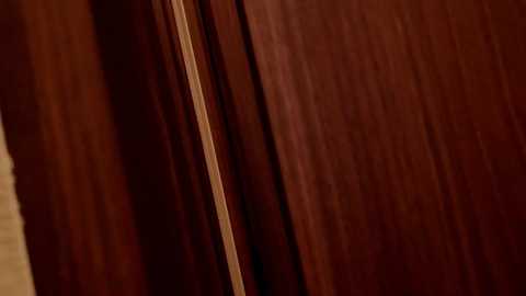 Media: manami_maru Stripchat 2024-10-26 10:01:00