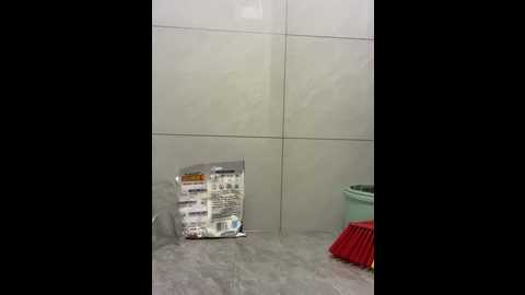 Media: oo_kaixin_oo Stripchat 2024-10-26 08:15:00