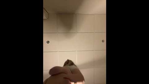 Media: alexsia_riley Stripchat 2024-10-27 19:41:00