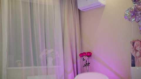 Media: rosyemily Stripchat 2024-10-27 00:33:00