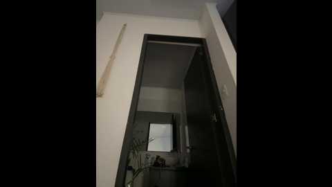 Media: brunettexio Stripchat 2024-10-28 00:44:00
