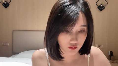 arrebo1 @ stripchat on 20241029