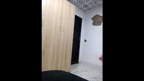 Media: ary_18 Stripchat 2024-10-29 20:34:00