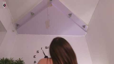 Media: aryamirelle Stripchat 2024-10-29 19:22:00