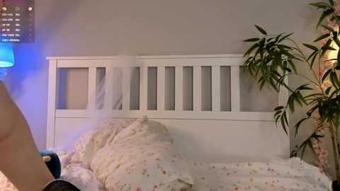 mayhaines @ stripchat on 20241029