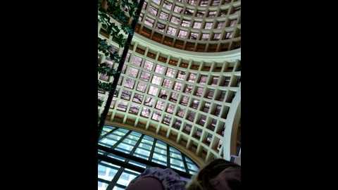 Media: public_katrisha Stripchat 2024-10-29 14:56:00