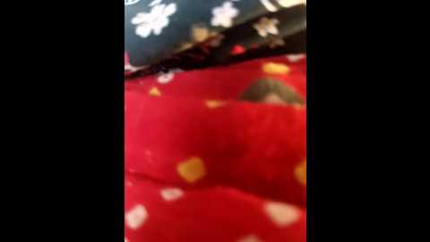 Media: indiankanak Stripchat 2024-10-30 02:22:00